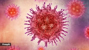 HMPV virus in india and HMPV symptoms Human Metapneumovirus